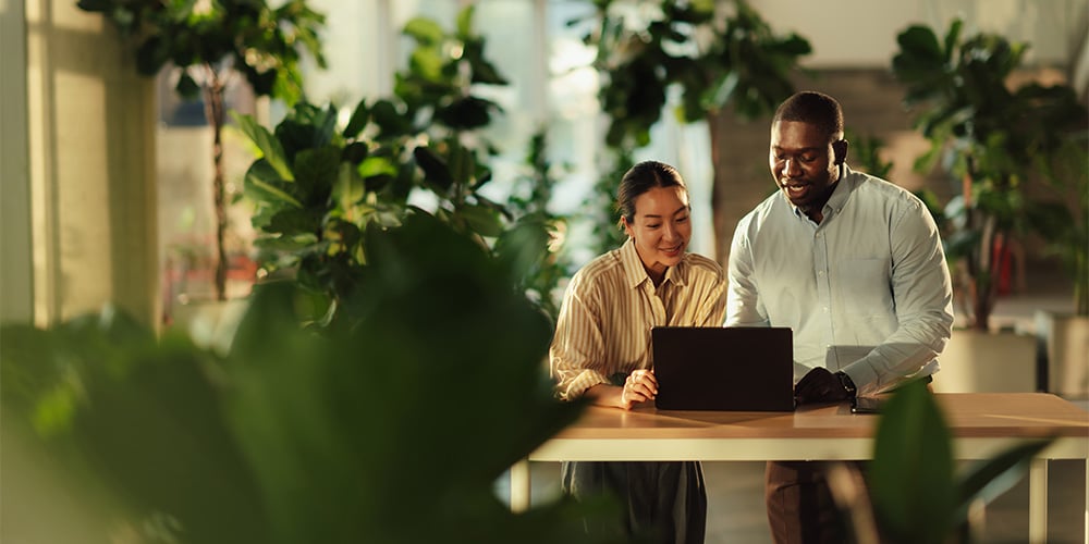 insight featured image