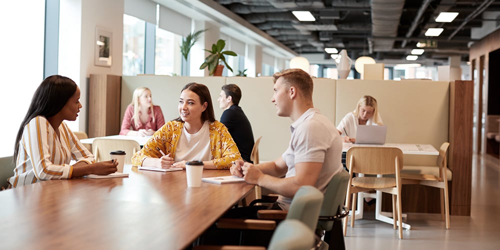 insight featured image