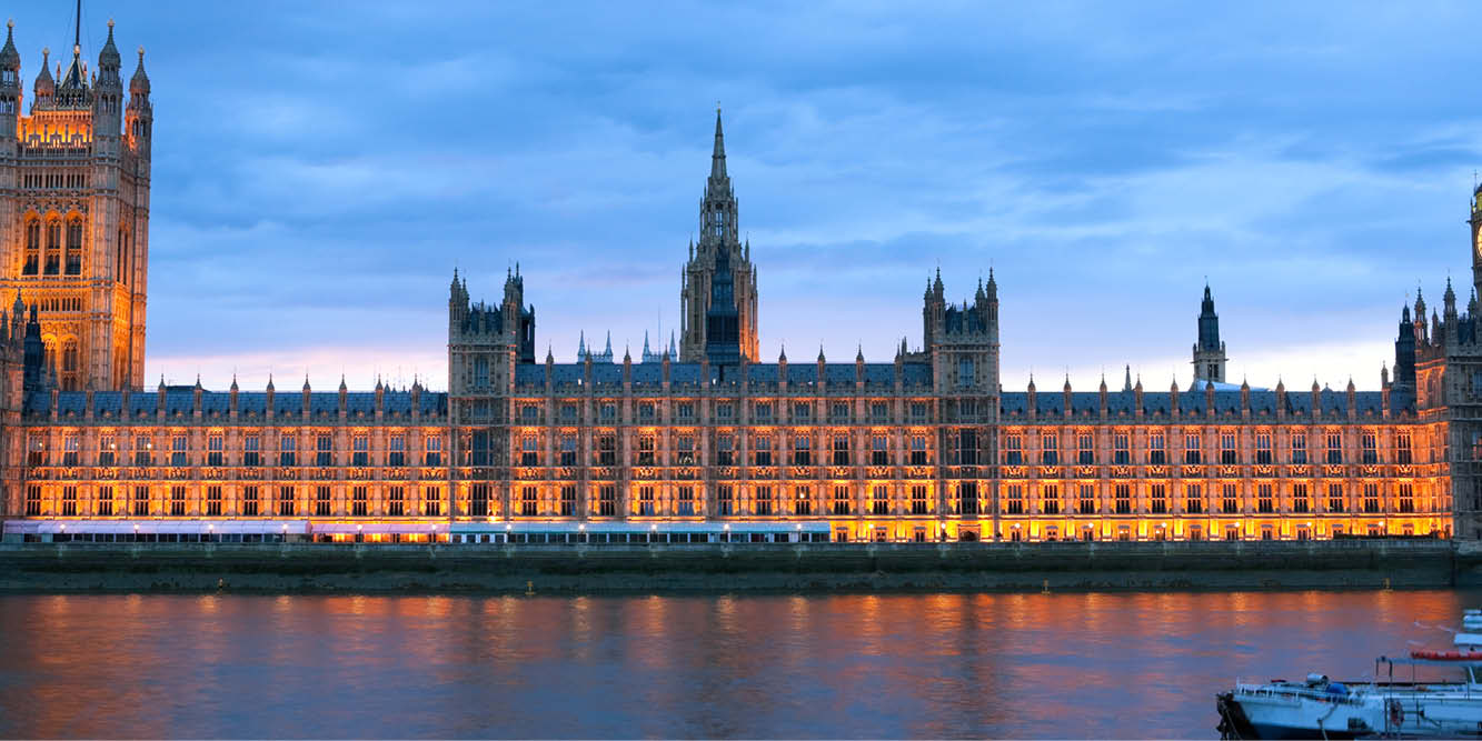 insight featured image