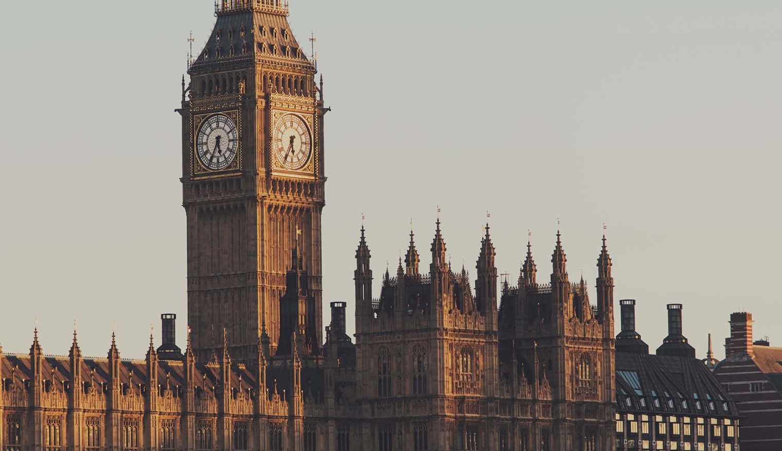 insight featured image