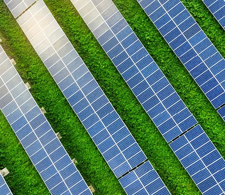 Is your business playing on the corporate sustainability team?