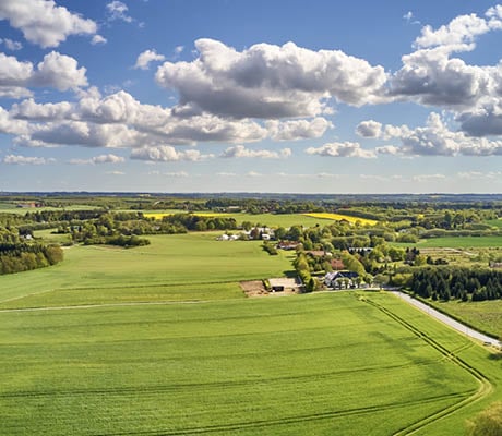 Land Remediation Relief