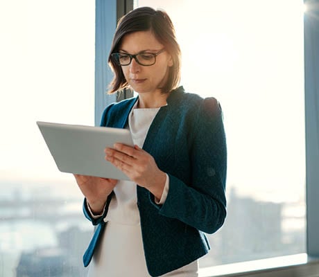 Windsor Framework updates