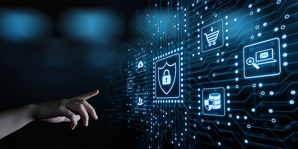 insight featured image