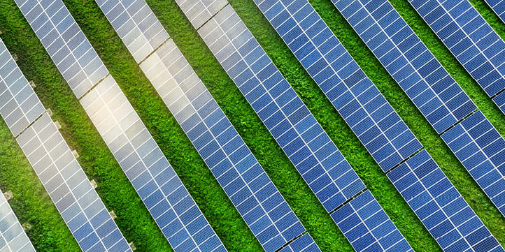 insight featured image