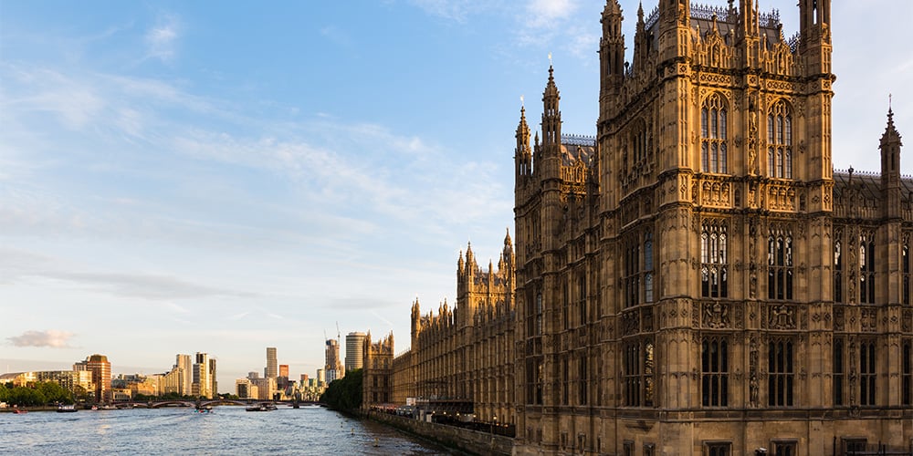 insight featured image