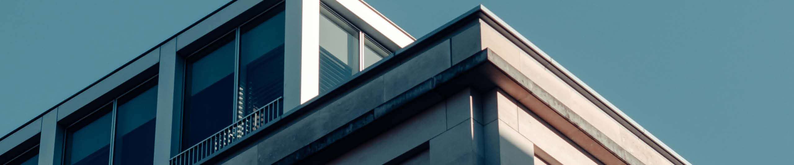 Professional Practices Group Grant Thornton